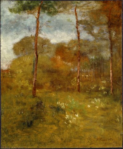 Orange Road, Tarpon Springs von George Inness